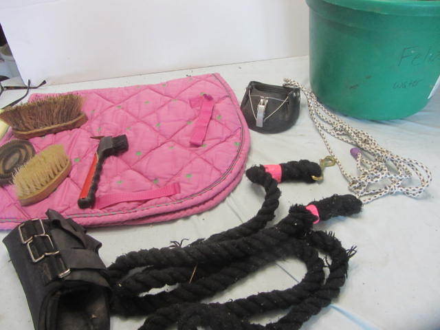 Saddle Pad, Jump Boots, Brushes