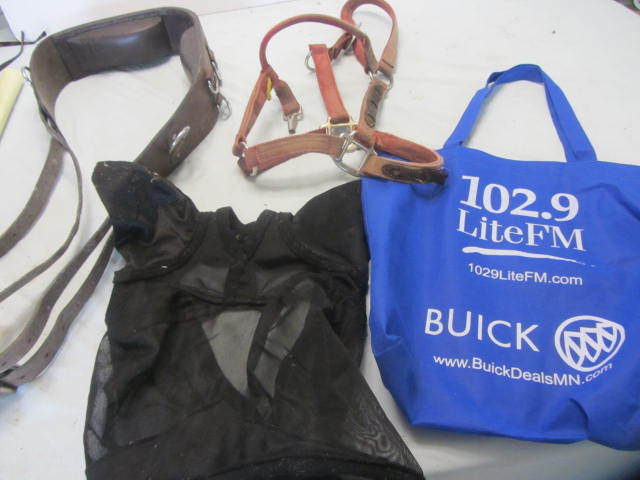 Surcingle, Halter, Fly Mask