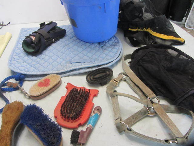 Saddle Pad, Jump Boots, Brushes