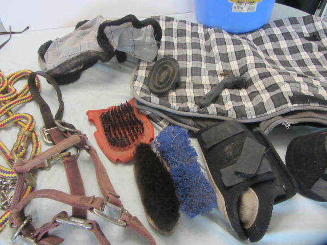 Saddle Pad, Lead Rope, Halter