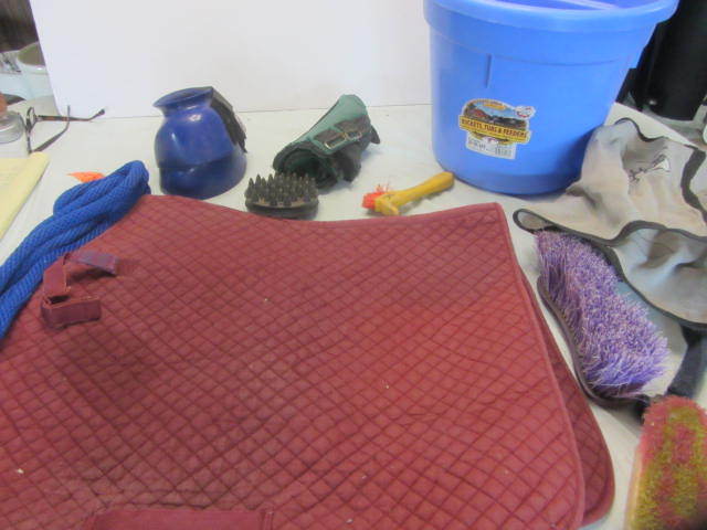 Bell Boots, Saddle Pad, Face Mask
