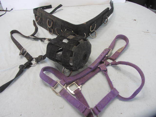 Grazing Muzzle, Surcingle