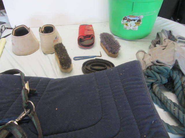 Bell Boots, Fly Mask, Lead Rope