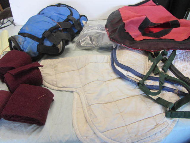 Shipping Boots, Polo Wraps