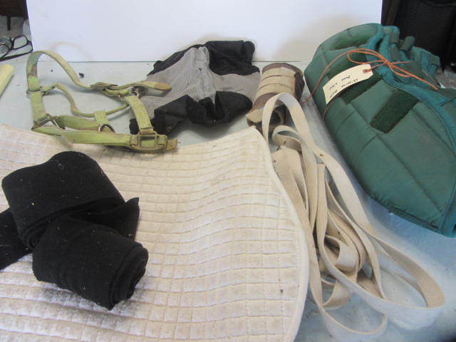 Shipping Boots, Mask, Halter