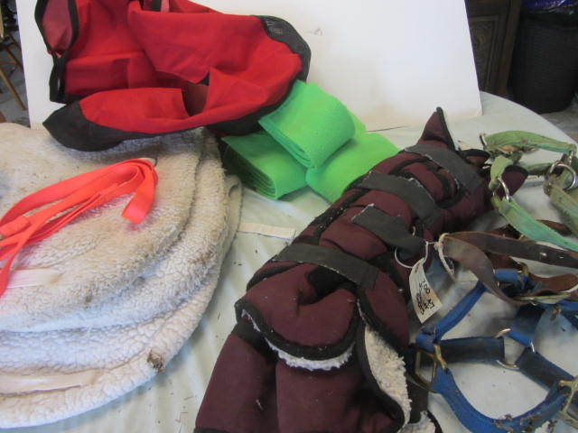 Pads, Polo Wraps, Halters