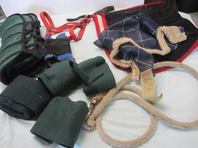 Shipping & Jumping Boots, Polo Wraps