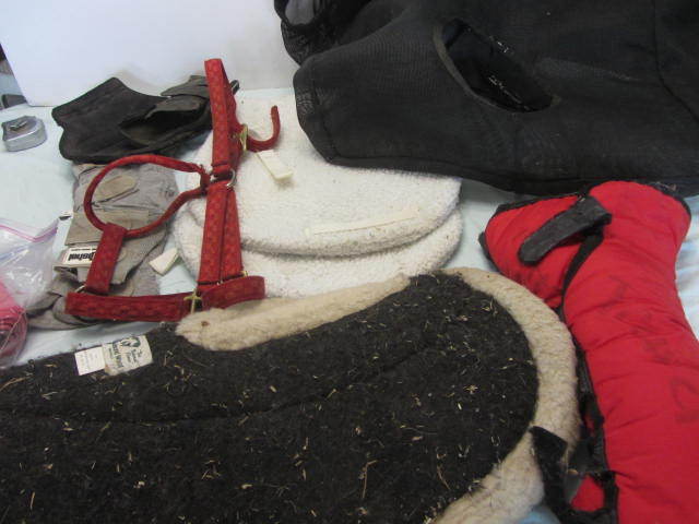 Shipping, Stable, Fly Boots
