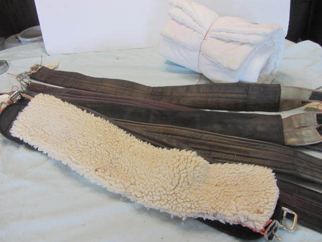 Pillow Wraps, Girths
