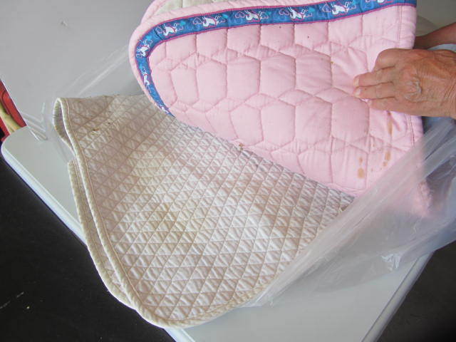Saddle Pads