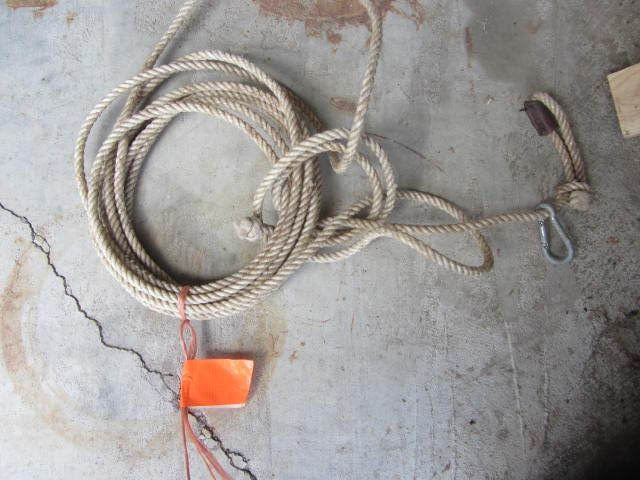 Training Lead