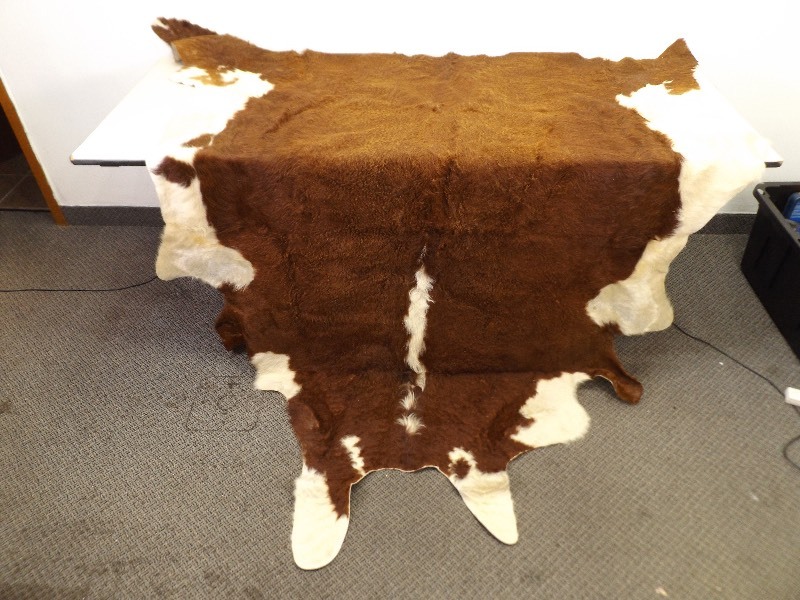 lot 24 image: Large Cow Animal Skin