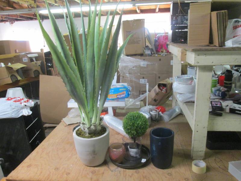 decorative cactus with vase slightl...