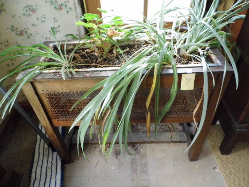 Wicker Plant Stand