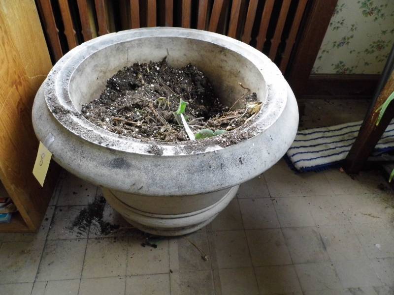 Concrete Planter