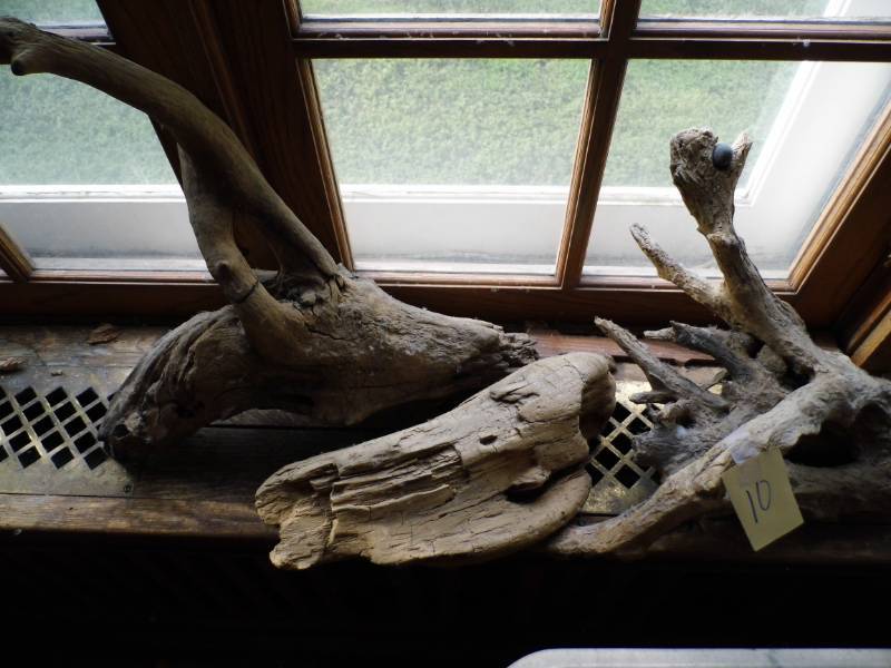 Drift Wood