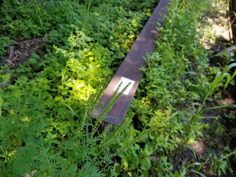 lot 1221 image: Steel I-Beam