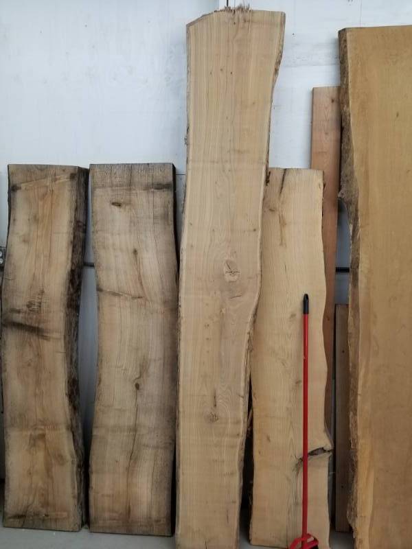 lot 1233 image: Live Edge Elm Board