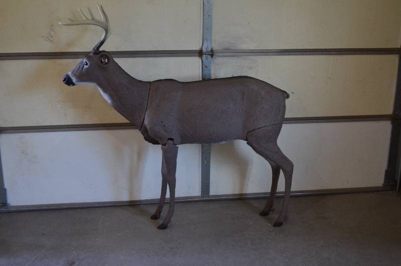 Sportsman 218
