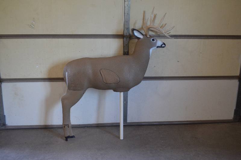 Sportsman 218