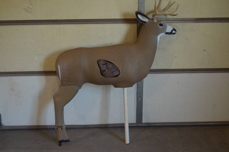 Sportsman 218