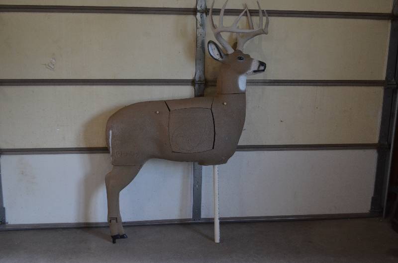 Sportsman 218