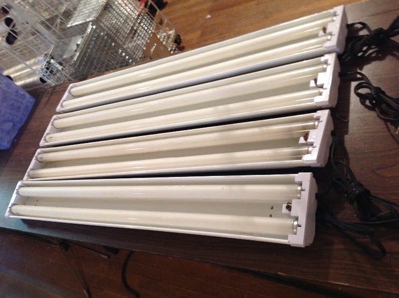 lot 21 image: Shop Lights