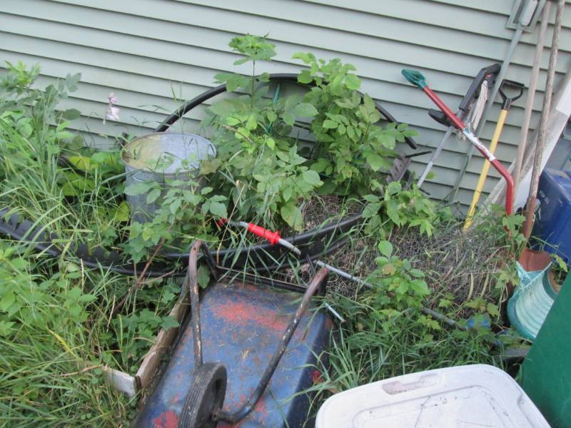 Outdoor lot includes truck front, w...