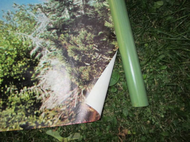 Lake scene on large canvas