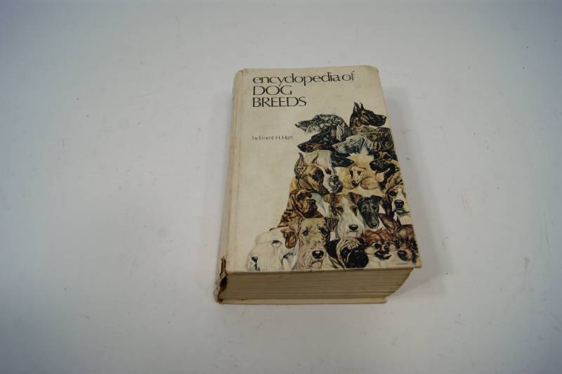 lot 92 image: Encyclopedia Of Dog Breeds