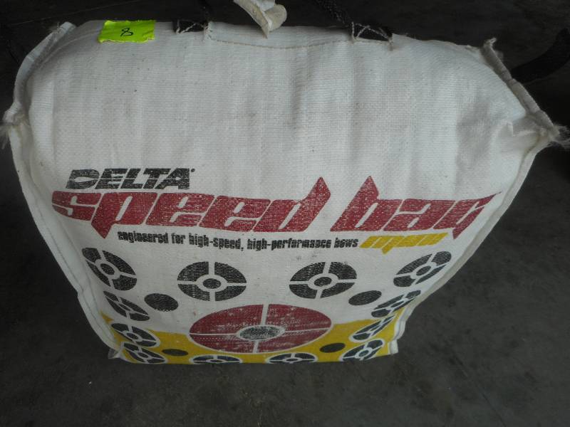 lot 8 image: Delta Speed Bag Bow Target