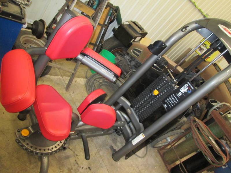 lot 31 image: Matrix G3 Rotary torso machine...