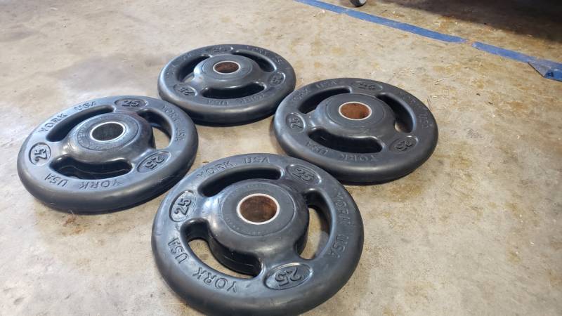 lot 12 image: 25LBS Bumper Plates