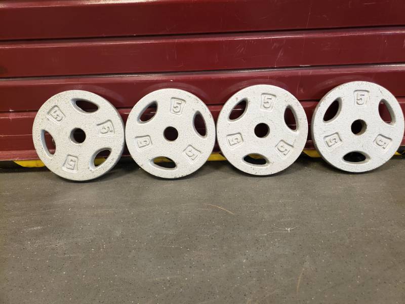 lot 46 image: 5Lbs Standard Plates