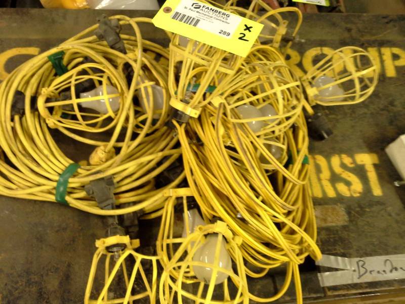 lot 289 image: Lot of (2) Cage Light Fixtures with Incandescent Bulbs and Power Cords