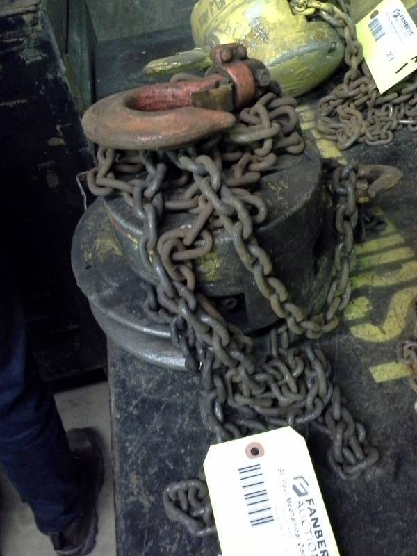lot 202 image: 12-Ton Chain Lift