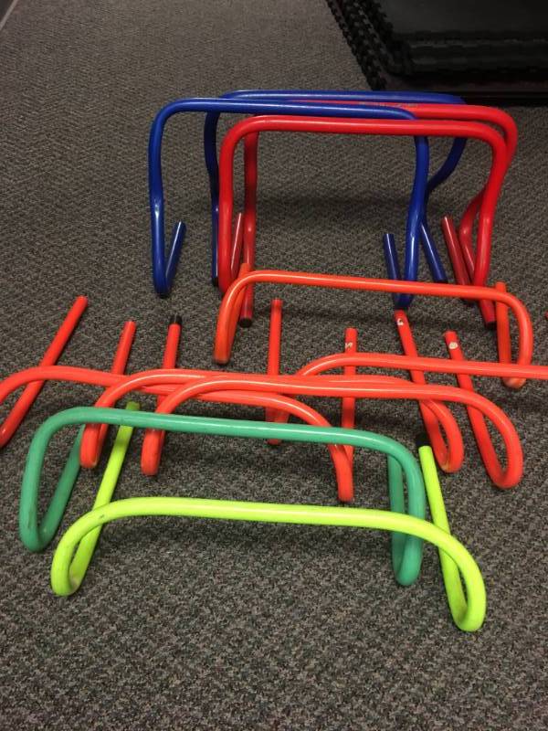 lot 16 image: Mini Hurdles