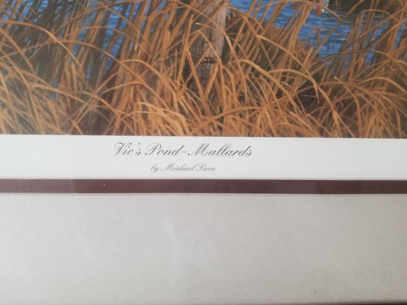 lot 22 image: Michael Sieve Signed and Numberes Wildlife Print Vics Pond - Mallards