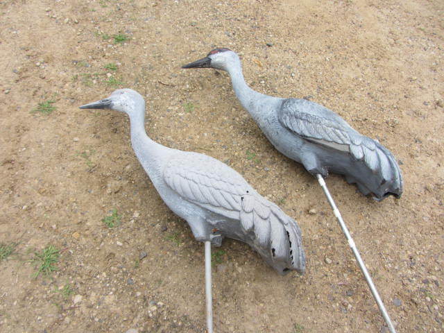 lot 24 image: Sand Hill Crane Molds