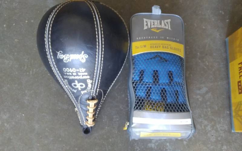 lot 95 image: Speed Bag & Gloves