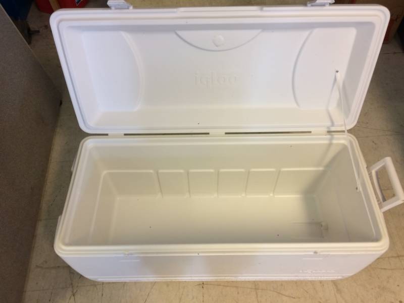 lot 51 image: Igloo Cooler