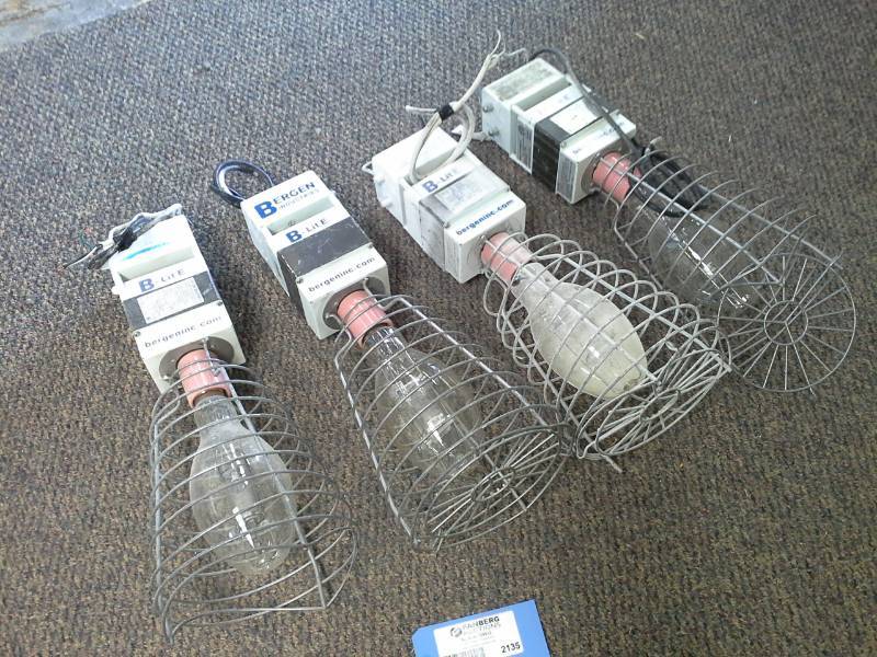 lot 2135 image: Lot of (4) Bergen Inc. B-LitE Cage Lights ASC-0061-01