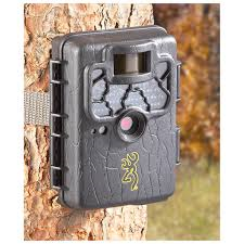 Sportsman 219