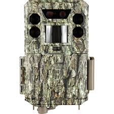 Sportsman 219