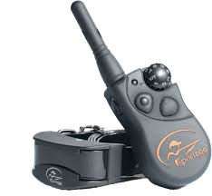 Sportsman 219