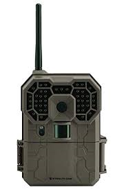 Sportsman 219