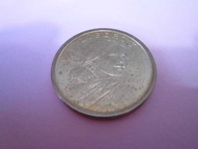 lot 486 image: 2000 P Sacajaweja Dollar, uncircula...