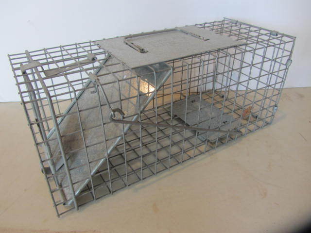 lot 30 image: Live Trap