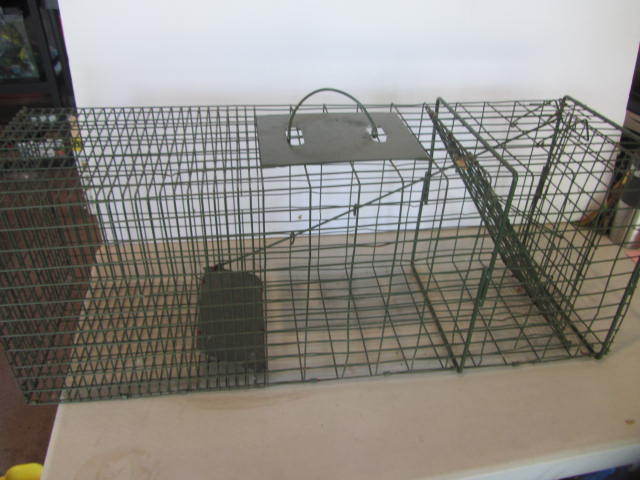 lot 54 image: Live Trap