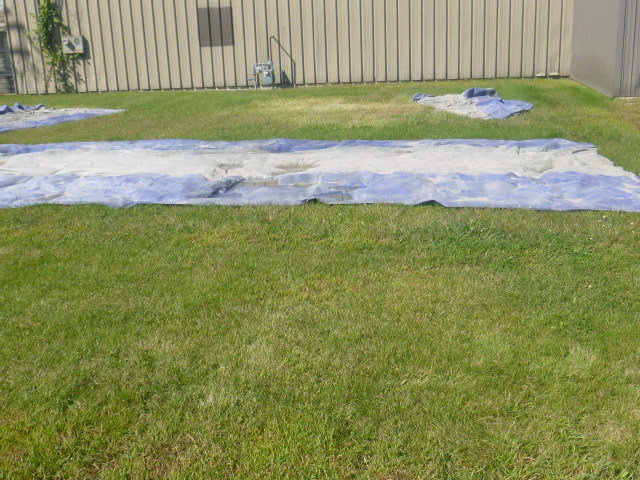 Tarp